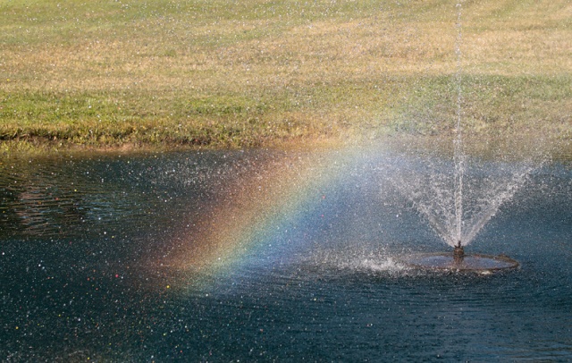 While walking around a pond this rainbow was discovered.